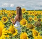 Наташа, 8 900 990-67-02 эскорт девушка — Наташа, 32 лет