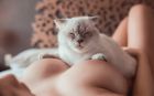 Арина, 8 900 617-01-60 Арина — анкета девушки и фото